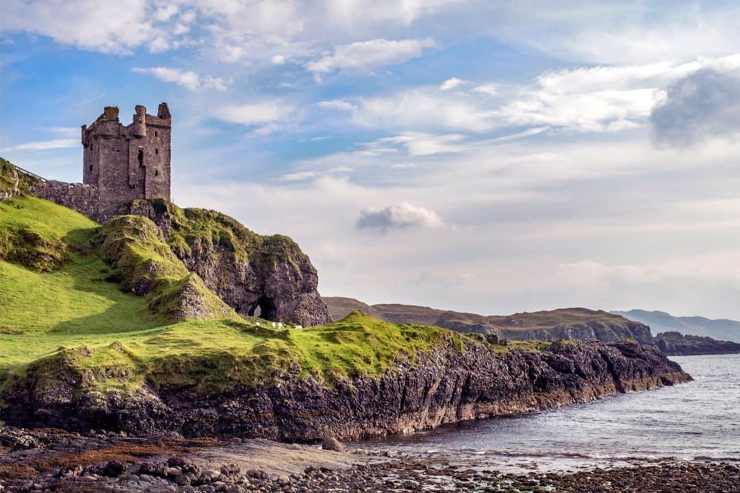 Are there bears in Scotland? Unlocking the Mystery Nature and Wildlife TV Explore & Learn